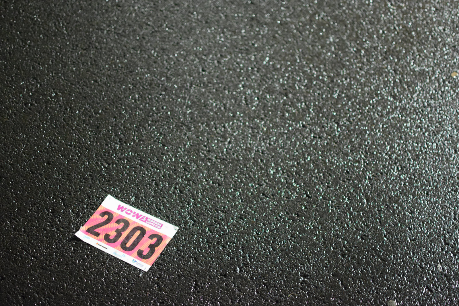 "2303"