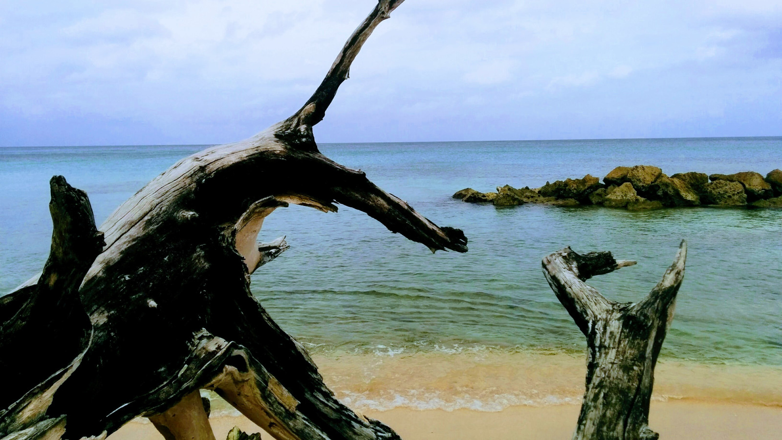 IMG_20170609_090625-EFFECTS