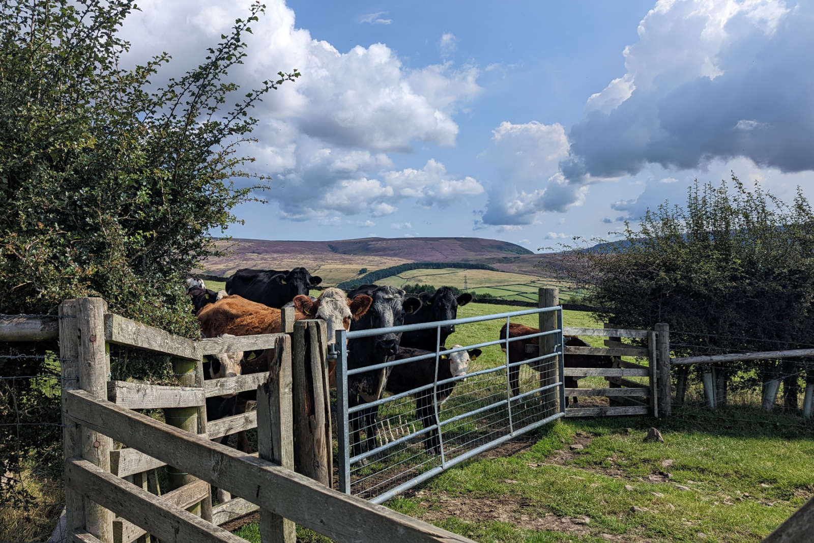 PXL_20220828_103714799