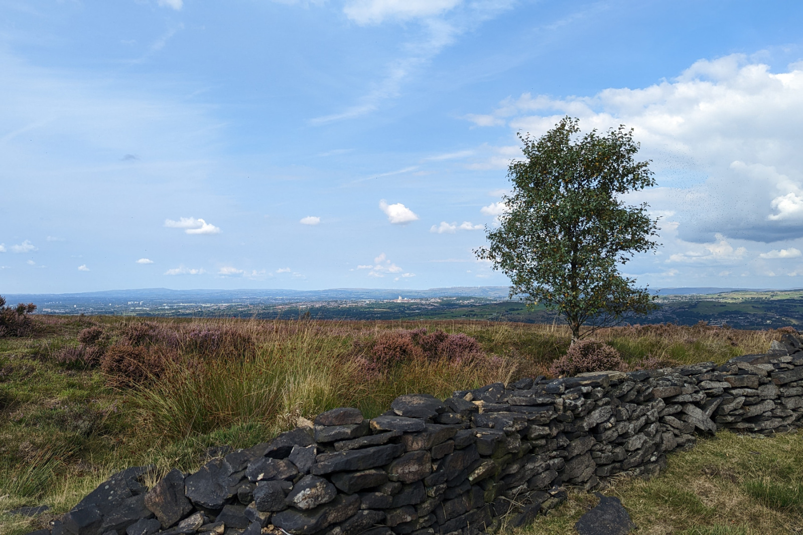 PXL_20220828_112126682