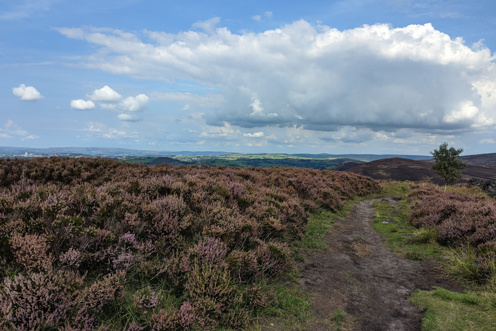 PXL_20220828_112257328