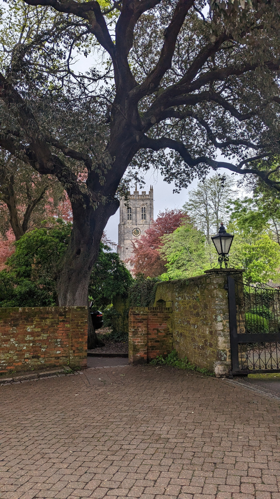 PXL_20230507_094839806