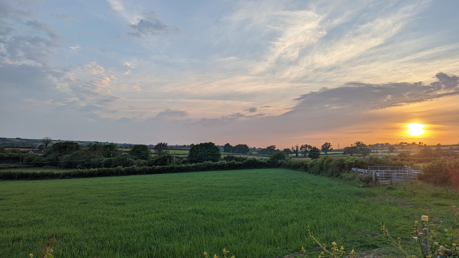 PXL_20230609_195915430