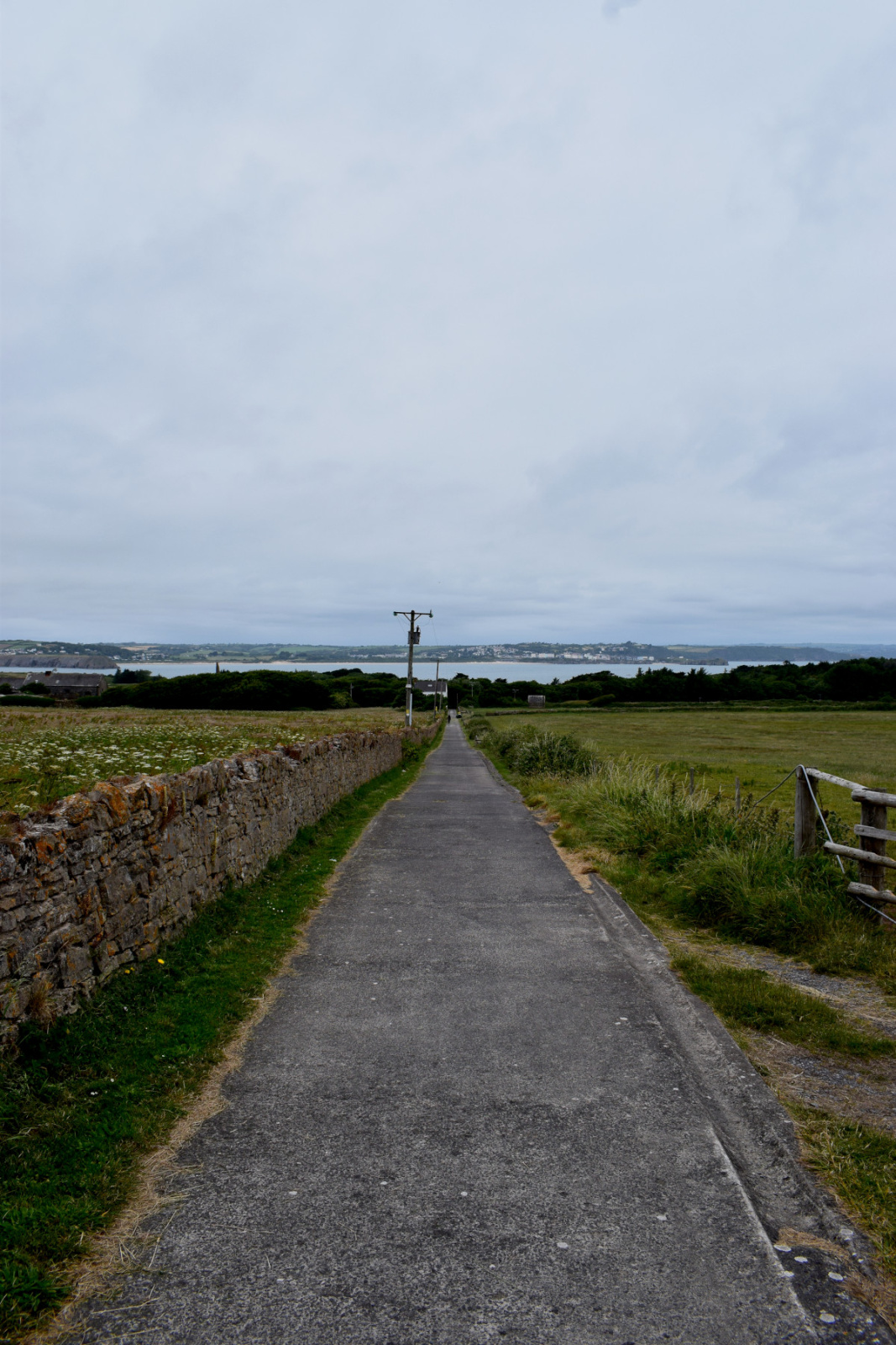 DSC_2321