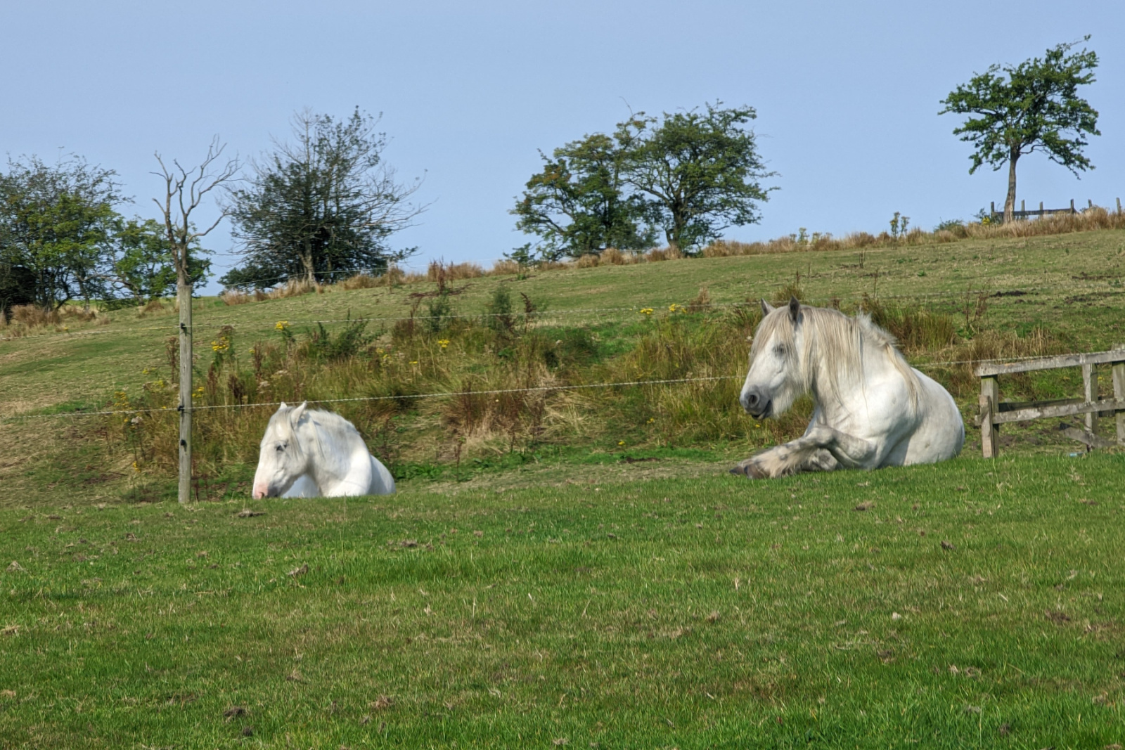 PXL_20220828_091506647