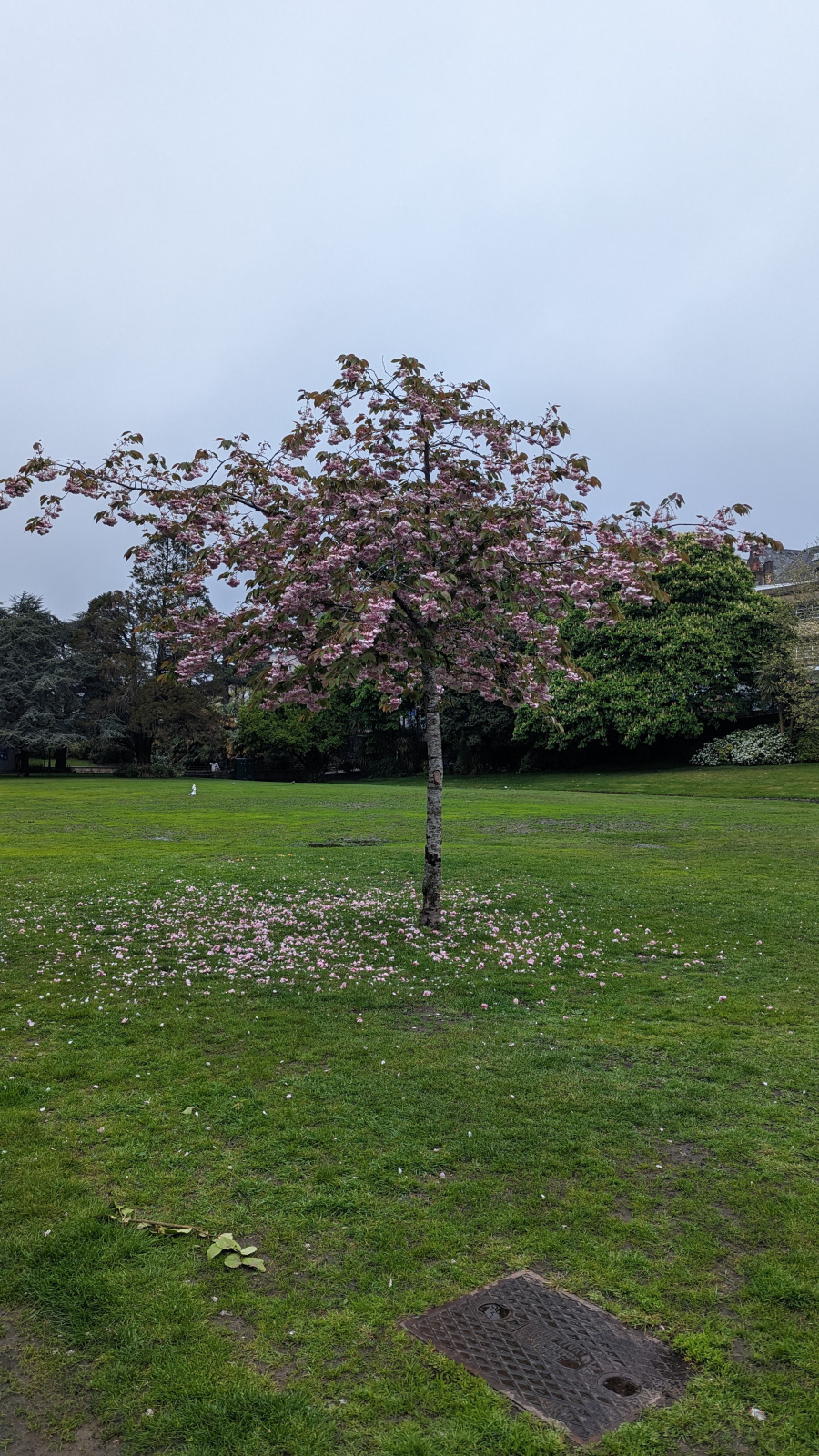 PXL_20230506_171809520