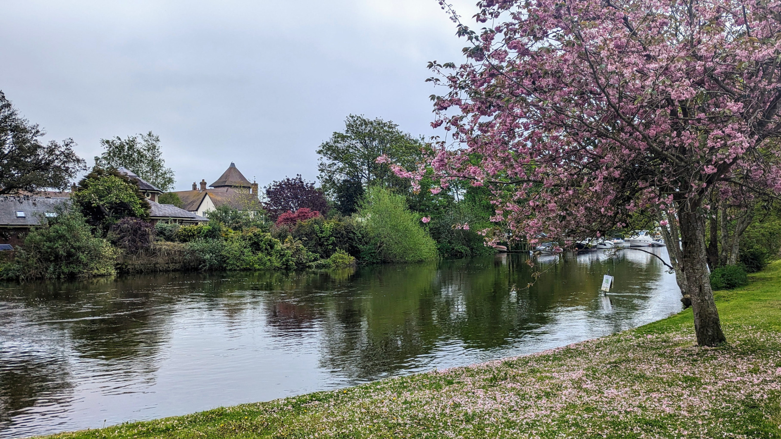 PXL_20230507_091700590~2