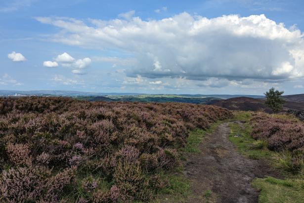 PXL_20220828_112257328